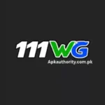 111Wg Game